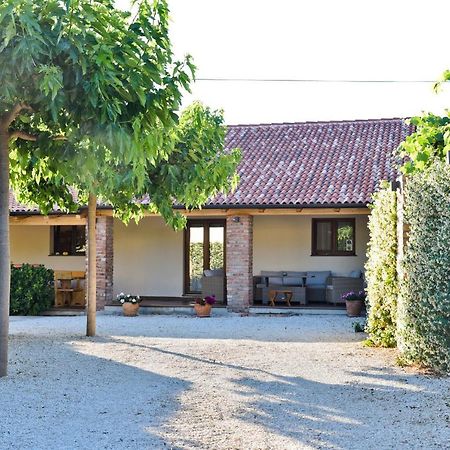 Debeljak Villa Navita Augustinus With Pool מראה חיצוני תמונה