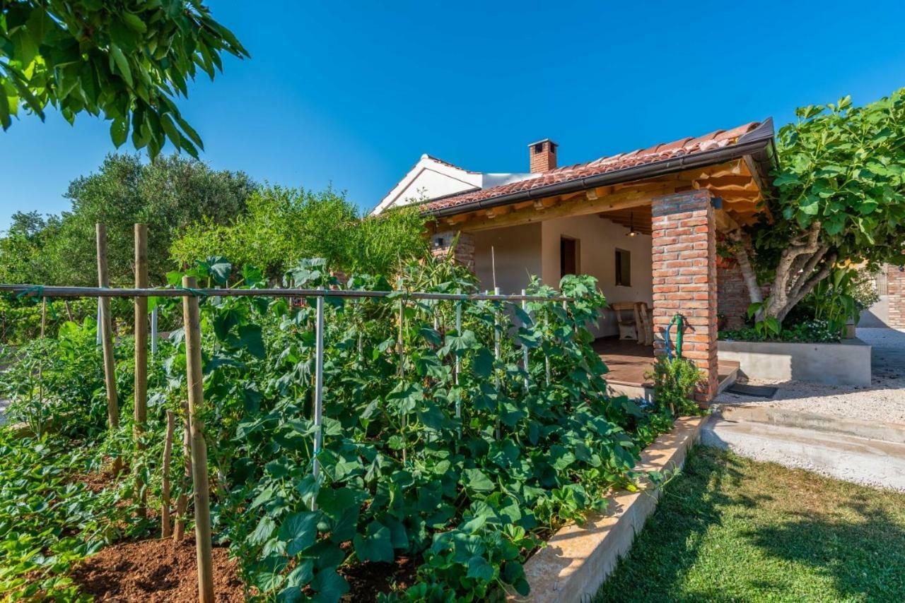 Debeljak Villa Navita Augustinus With Pool מראה חיצוני תמונה